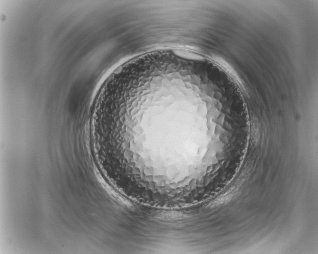 X0000060761100200511141224