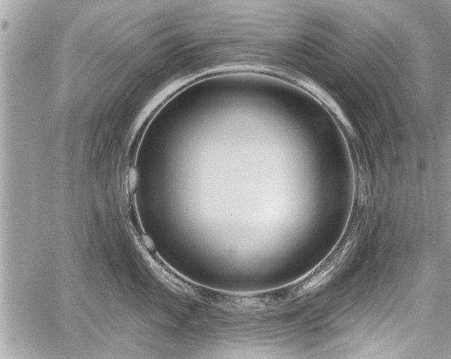 X0000060761101200511141224