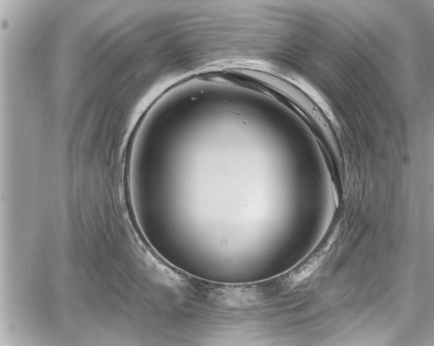 X0000060761102200511141224