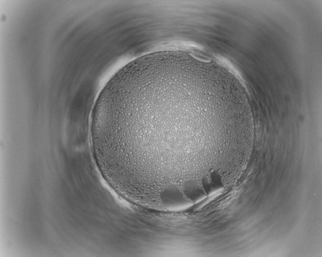 X0000060761103200511141224