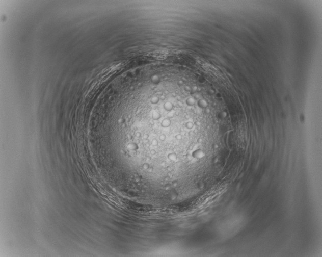 X0000060761105200511141224