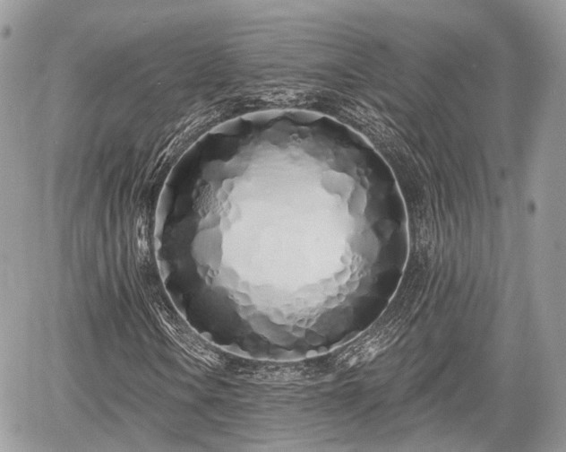 X0000060761106200511141224