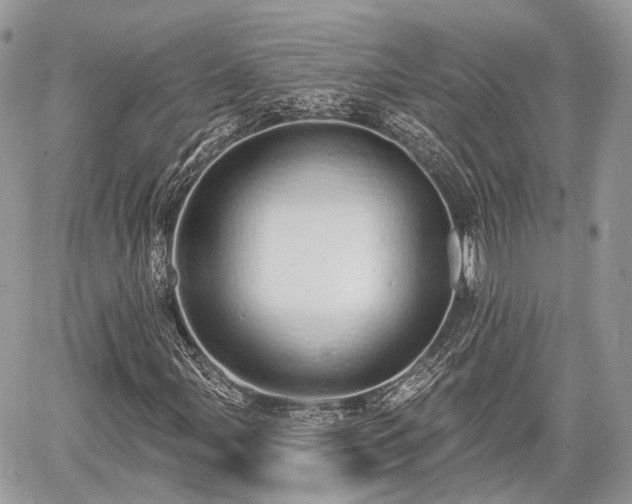 X0000060761107200511141224