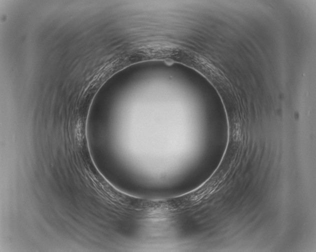 X0000060761108200511141224