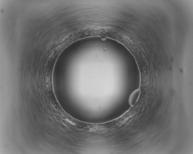 X0000060761109200511141224