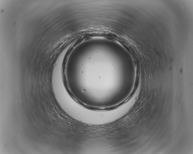 X0000060761110200511141224