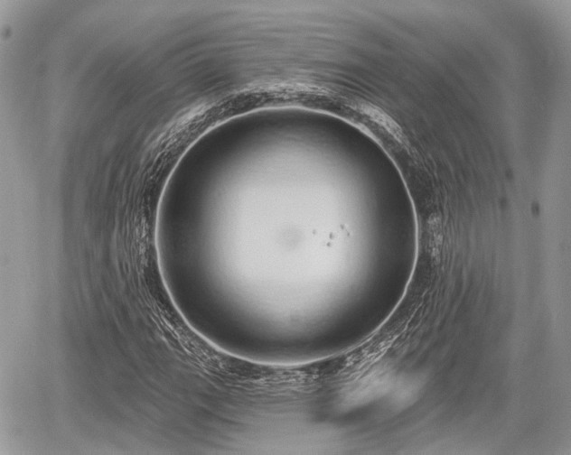 X0000060761111200511141224