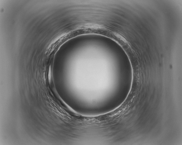 X0000060761112200511141224