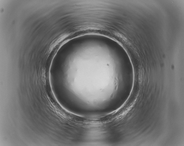 X0000060761113200511141224