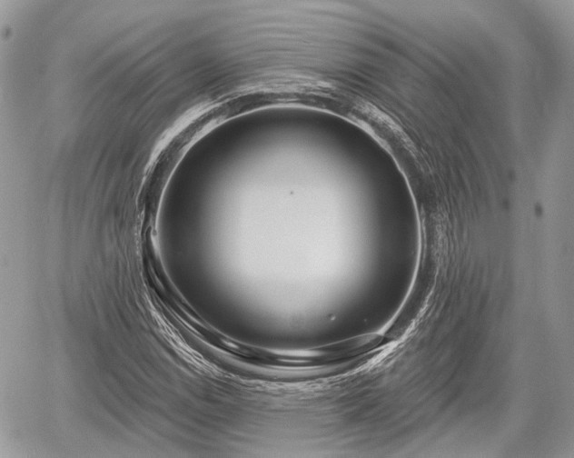 X0000060761114200511141224