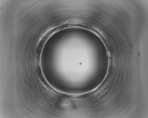 X0000060761115200511141224