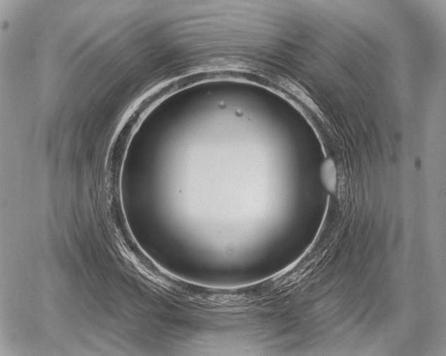 X0000060761116200511141224