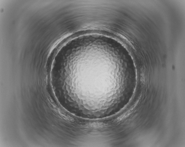 X0000060761117200511141224