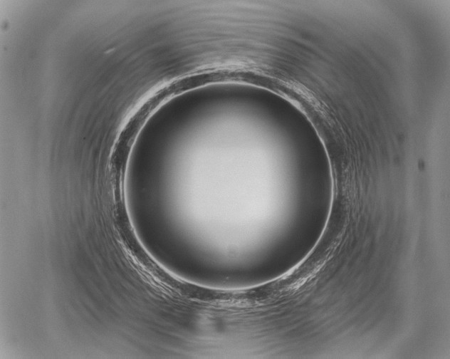 X0000060761118200511141224