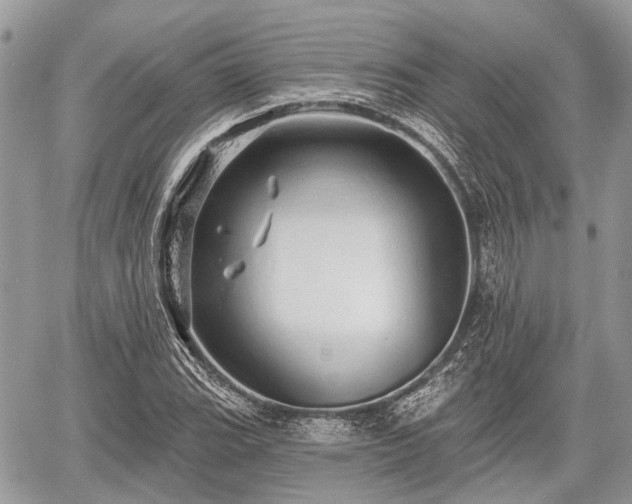 X0000060761119200511141224