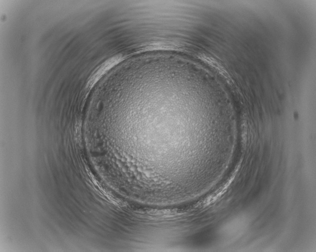 X0000060761121200511141224