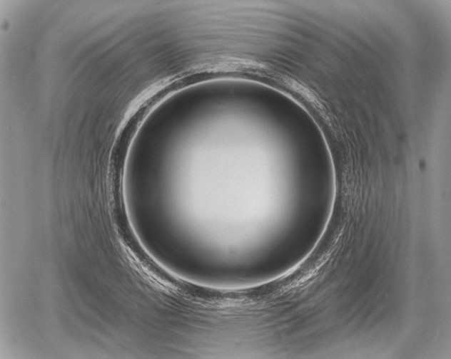 X0000060761122200511141224