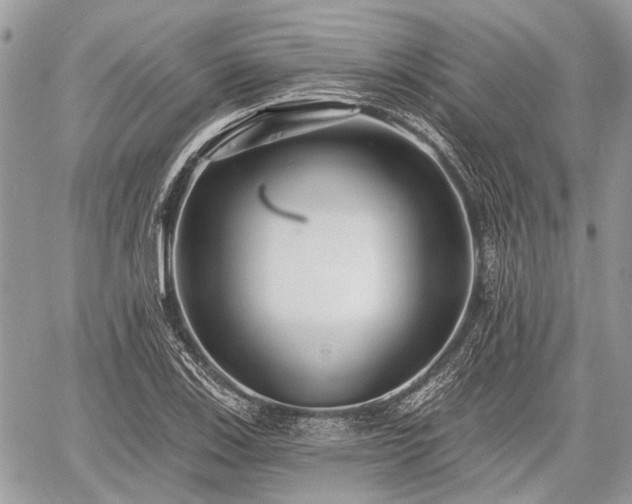 X0000060761123200511141224