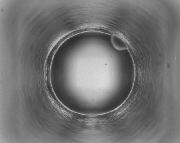 X0000060761124200511141224