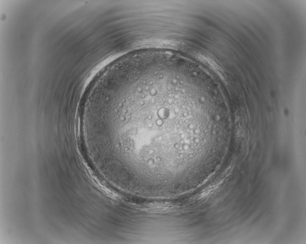 X0000060761125200511141224