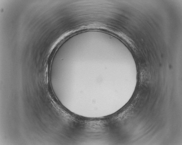 X0000060761126200511141224