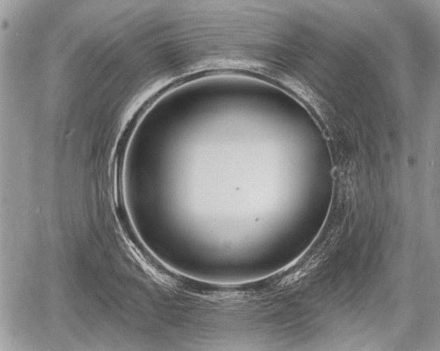 X0000060761127200511141224