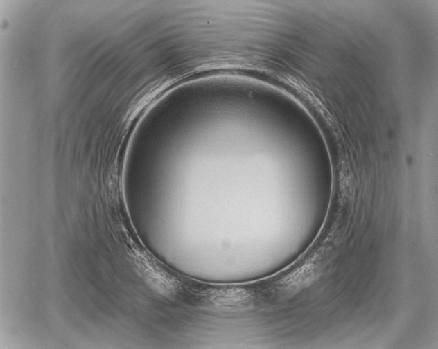 X0000060761129200511141224