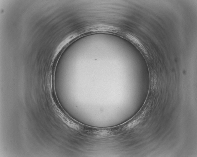 X0000060761130200511141224