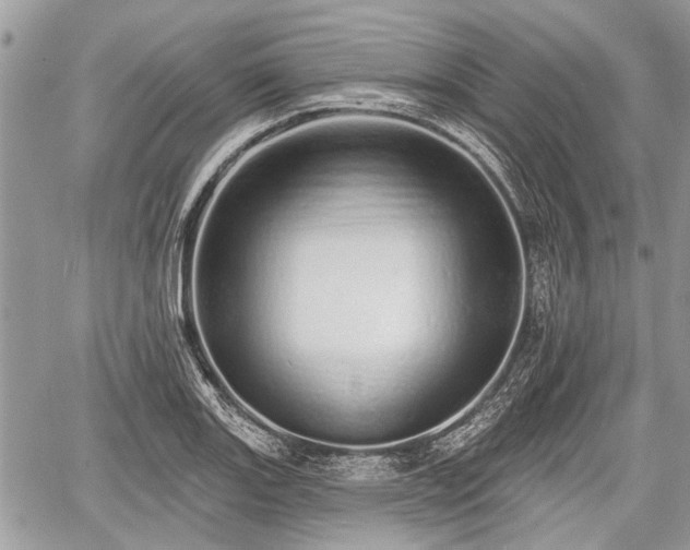 X0000060761131200511141224