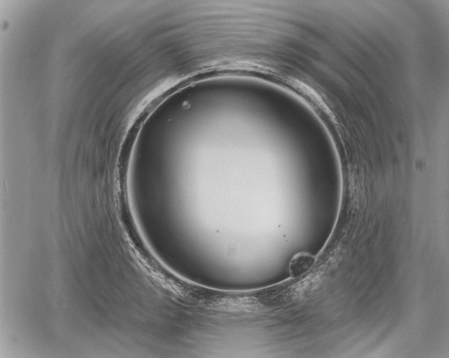 X0000060761133200511141224