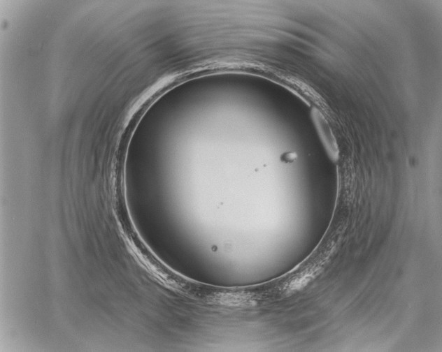 X0000060761134200511141224