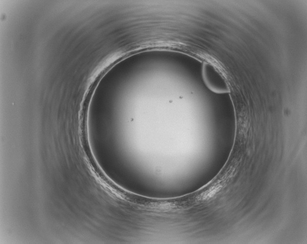 X0000060761135200511141224