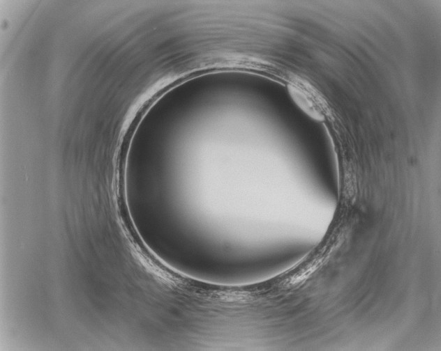 X0000060761136200511141224