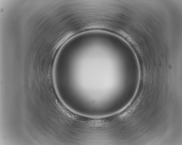 X0000060761137200511141224