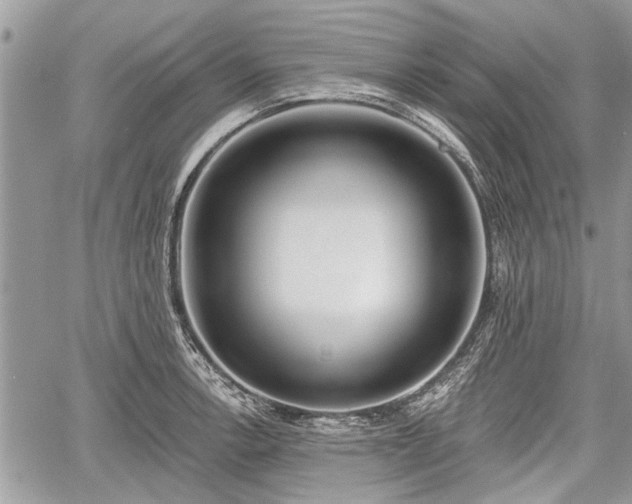 X0000060761138200511141224