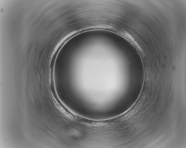 X0000060761140200511141224