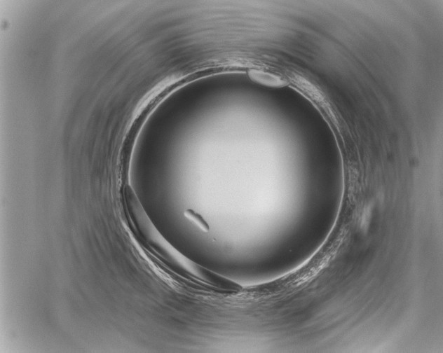 X0000060761141200511141224