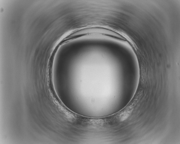 X0000060761142200511141224