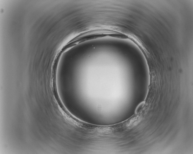 X0000060761143200511141224