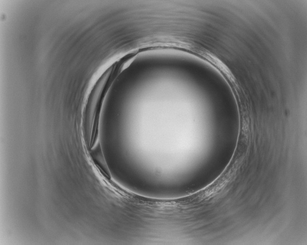 X0000060761144200511141224