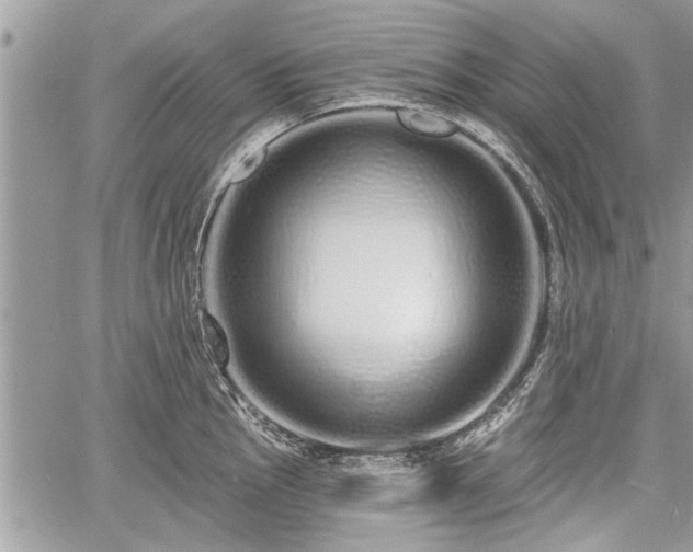 X0000060761145200511141224