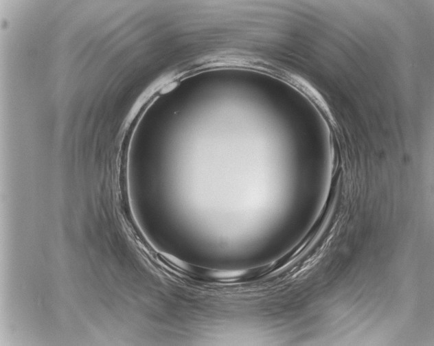 X0000060761146200511141224