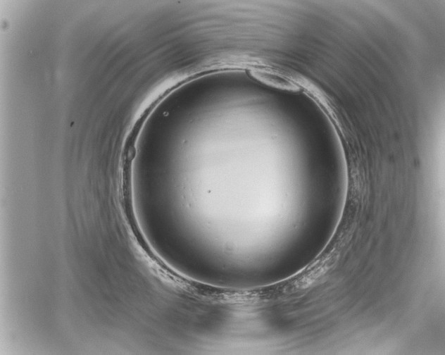 X0000060761147200511141224