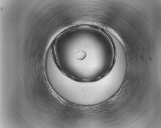 X0000060761148200511141224