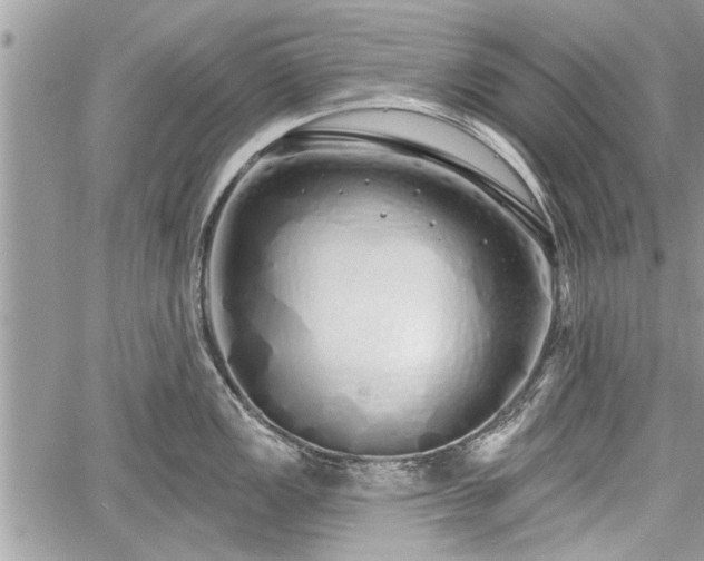 X0000060761149200511141224