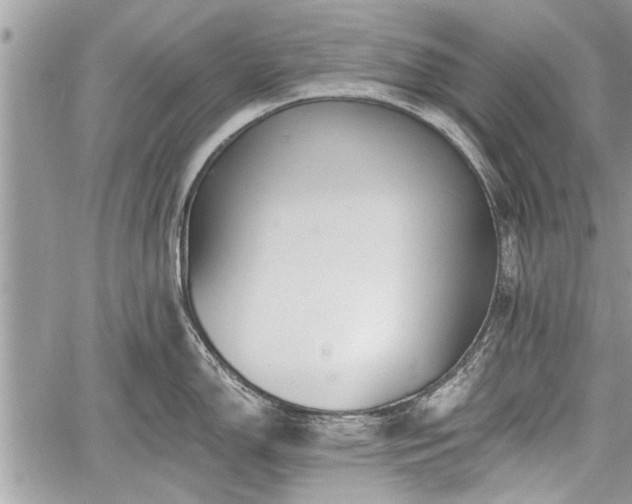 X0000060761150200511141224