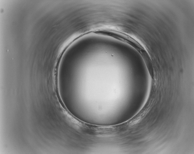 X0000060761151200511141224