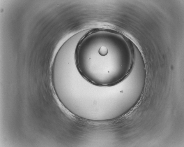 X0000060761152200511141224