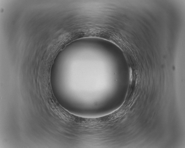 X0000060761153200511141224