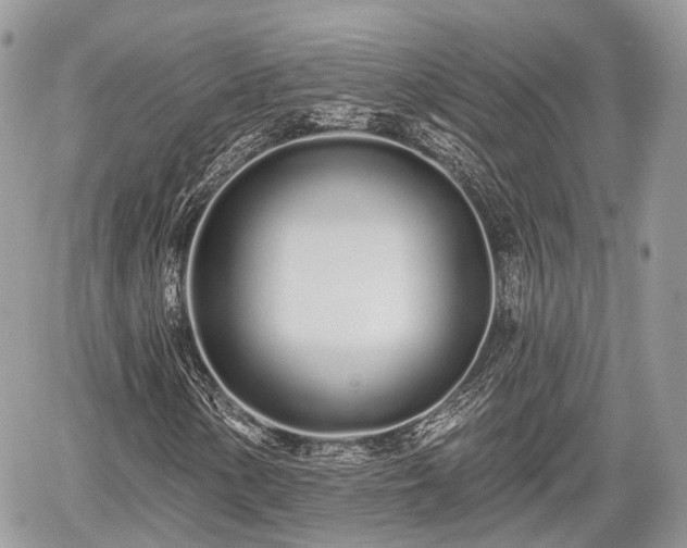 X0000060761154200511141223